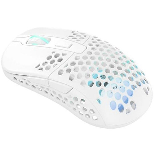 Мышь Xtrfy M42, WL/USB-A, RGB, белый
