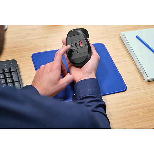 Мышь Trust Bayo + Ergonomic, BT/WL/USB-A, черный