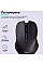 Миша Trust Mydo Silent, WL, чорний