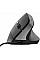 Мышь Trust Bayo 2 Ergonomic, USB-A, черный