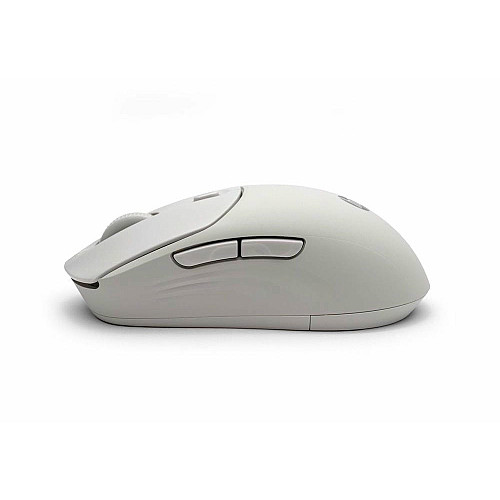 Миша HP 400 Quiet, WL/BT, maple