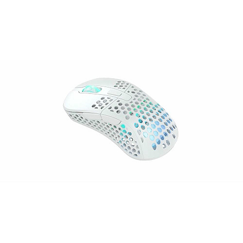 Мышь Xtrfy M4, WL/USB-A, RGB, белый