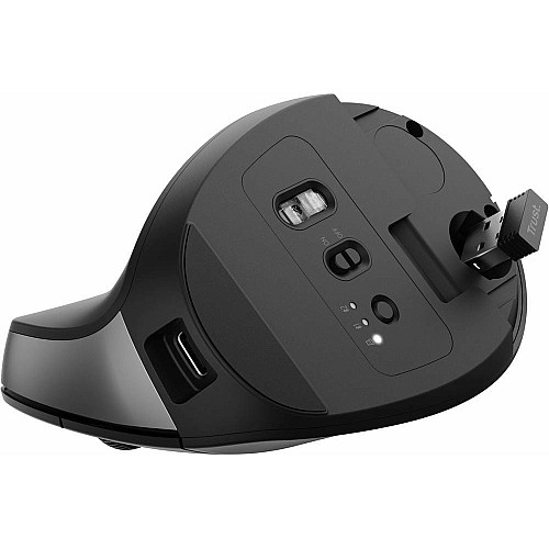Мышь Trust Bayo + Ergonomic, BT/WL/USB-A, черный