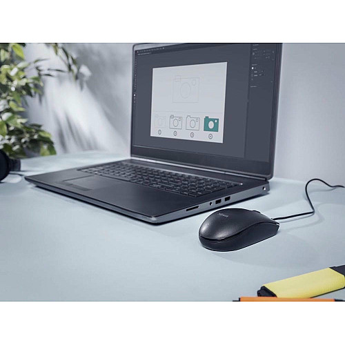 Миша Trust Basi, USB-A, чорний
