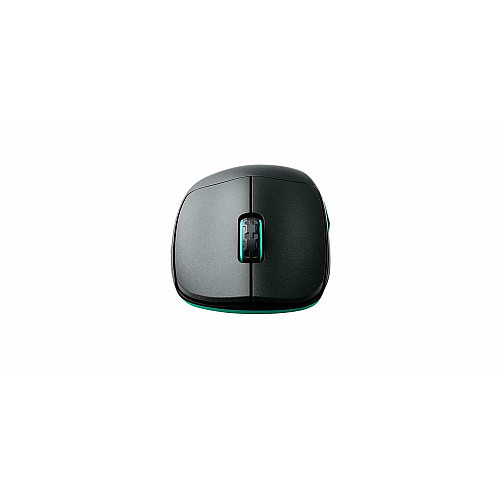 Мышь Cherry Xtrfy M64, WL/USB-A, RGB, черный