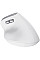Миша Trust Bayo II Ergonomic, WL, білий