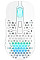 Мышь Xtrfy M42, WL/USB-A, RGB, белый
