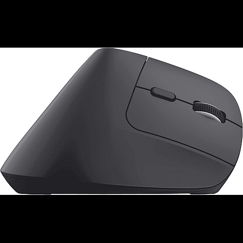 Мышь Trust Bayo + Ergonomic, BT/WL/USB-A, черный