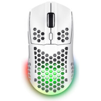 Мышь Trust GXT 929 Helox, WL/USB-A, белый
