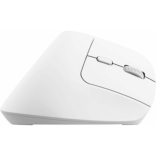 Миша Trust Bayo+ Multidevice Ergonomic, BT/WL/USB-A, біла