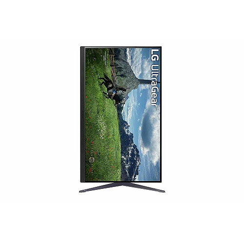 Монитор LG 31.5