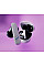 Навушники TWS Trust GTX 409 Oxxie Earbuds BT 5.3, ENC, SBC, Mic, Білий