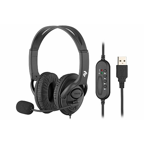 Гарнитура ПК стерео Over-ear 2E CH13 USB, omni-mic, 2м, черный
