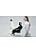 Наушники Over-ear Sony WH-1000XM6 BT 5.3, ANC, Hi-Res, AAC, LDAC, LC3, Wireless, Mic, Серебристый