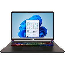 Ноутбук MSI Vector 17 HX AI A2XWIG-043UA 17