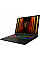 Ноутбук MSI Vector 17 HX AI A2XWJG-042UA 17
