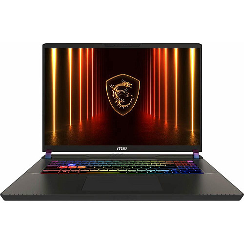 Ноутбук MSI Vector 17 HX AI A2XWJG-042UA 17