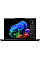 Ноутбук Lenovo ThinkPad T14s-G6 14