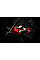 Секатор аккумуляторный Einhell Professional GP-LS 18/28 Li BL - Solo PXC 18В толщ. 28/14мм сталь SK5 0.82кг без АКБ и ЗП