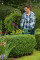 Кущоріз Bosch EasyHedgeCut 55 450Вт 55см крок різу 16мм 2.7кг
