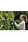 Кусторез аккумуляторный Bosch EasyHedgeCut 18-45 18В лезвие 45см шаг реза 15мм 3.02кг без АКБ и ЗП
