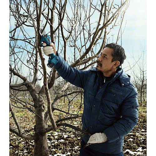 Секатор аккумуляторный Bosch Professional Pruner, 12В, 2х3А·ч, D реза 25мм, 1000гр