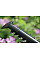 Кусторез аккумуляторный Bosch EasyHedgeCut 18-45 18В лезвие 45см шаг реза 15мм 3.02кг без АКБ и ЗП