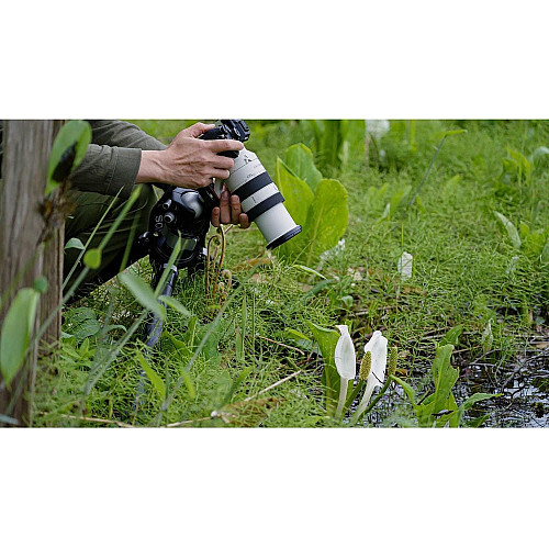 Об'єктив Sony 70-200mm, f/4.0 G OSS II для камер NEX FF