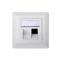 Лицевая панель DIGITUS 2х Keystone 80x80 с заземлением