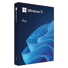 Примірник ПЗ Microsoft Windows 11 Pro укр, FPP на USB носії