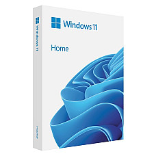 Примірник ПЗ Microsoft Windows 11 Home англ, FPP на USB носії