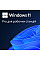 Примірник ПЗ Microsoft Windows 11 Pro для робочих станцій, укр, ОЕМ, на DVD носії