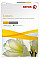 Папір Xerox COLOTECH + (280) A3 250арк.