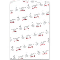 Папір Xerox COLOTECH + (280) SRA3 125арк.