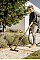 Пылесос профессиональный Karcher WD 3 V-17/4/20 1000Вт контейнер 17л 4.53кг