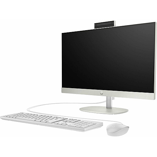 Компьютер персональный моноблок HP 245-G10 23,8