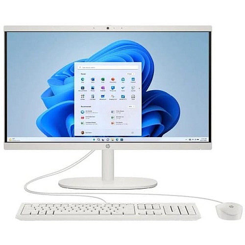 Компьютер персональный моноблок HP All-in-One 21,5