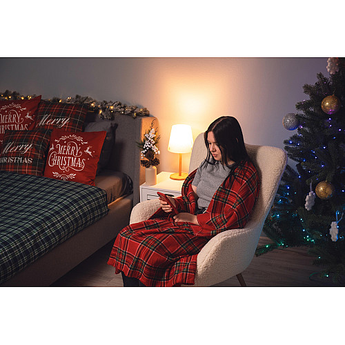 Плед ARDESTO Fleece 130x160см, 100% поліестер, клітинка, червоний