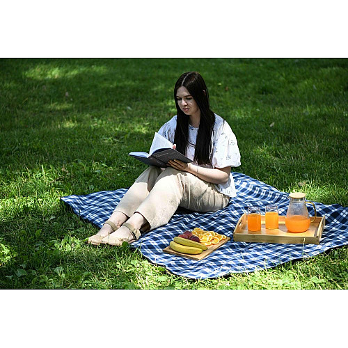 Плед ARDESTO Picnic 130х170см, 100% поліестер, клітинка синій