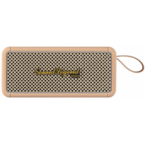 Портативна акустична система 2E SoundLegend Mini 40Вт, BT 5.3, TWS, FLAC, MP3, WAV, EQ, PowerBank, IPX6, Коричневий