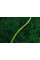 Шланг садовий 2Е AquaFlex Green 3/4