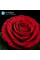 Проєктор HP MC475 FHD, 200 lm, LED, 0.8, WiFi, Smart