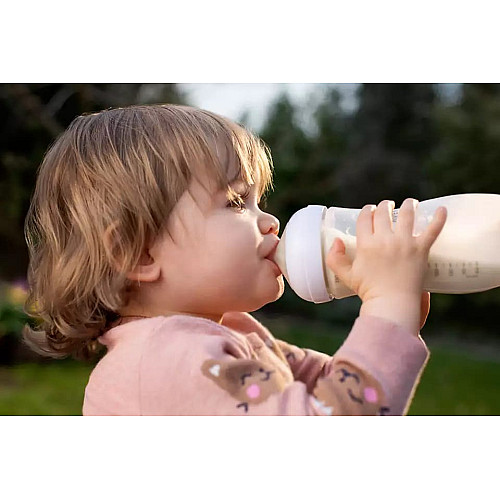 Соска Avent Natural 6мес+, силиконовая, Природный поток, быстрый поток, 2шт