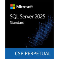 Программный продукт Microsoft SQL Server 2025 Standard Edition Perpetual 1 Server License