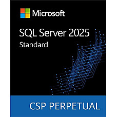 Программный продукт Microsoft SQL Server 2025 Standard Edition Perpetual 1 Server License
