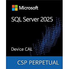 Программный продукт Microsoft SQL Server 2025 - 1 Device CAL