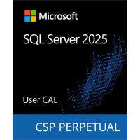 Програмний продукт Microsoft SQL Server 2025 - 1 User CAL