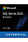 Программный продукт Microsoft SQL Server 2025 Standard Edition and 15 CAL Pack