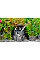 Сумка садова Neo Tools 28x28x27см, до 15кг, 6 кишень оксфорд190г/м2, сірий