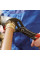 Кліщі сантехнічні KNIPEX Cobra, 0-50мм, 250мм, 0.366кг